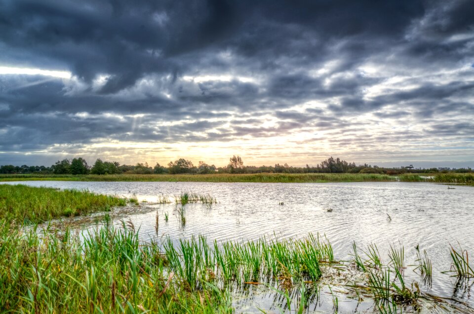 Reflection nature meadows