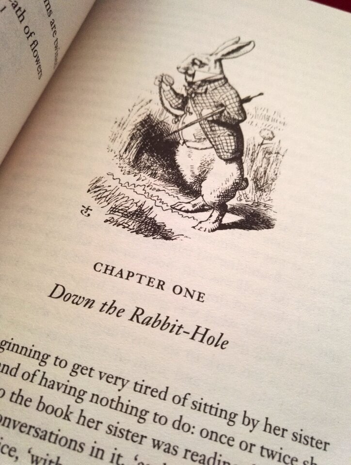 Rabbit literature carroll
