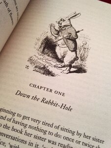 Rabbit literature carroll