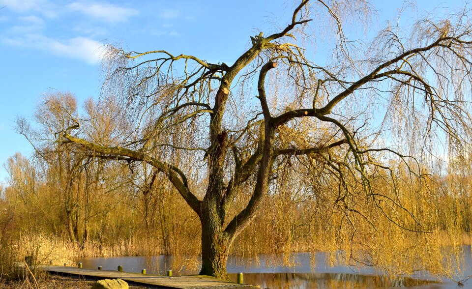 Landscape waters pasture