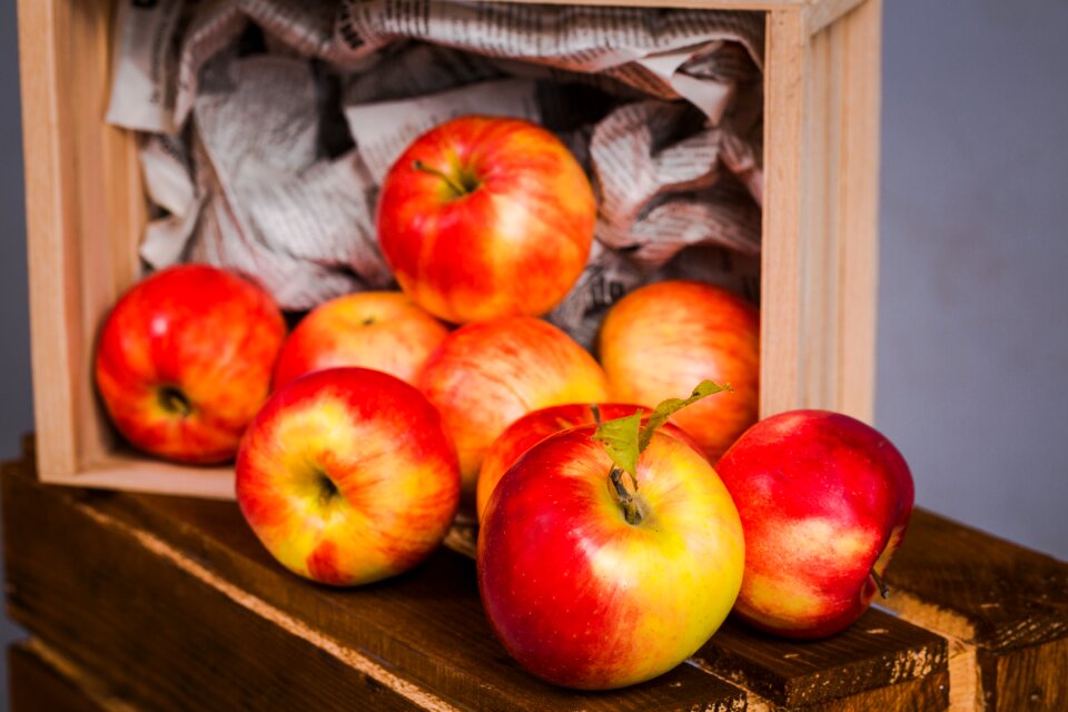 Food healthy wood