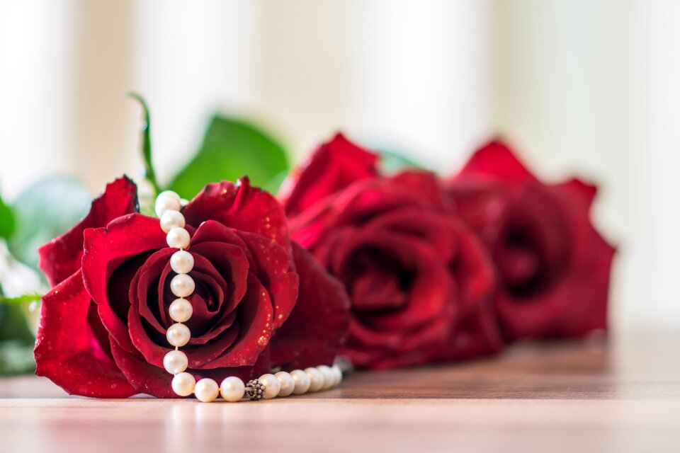 Flower celebration romantic