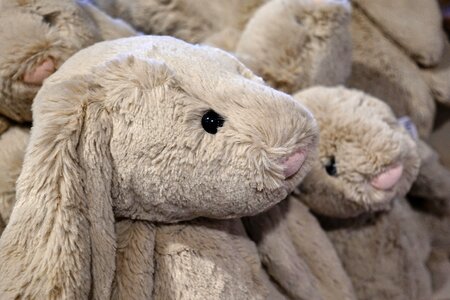 Stuffed bunny furry