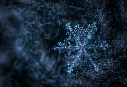 Macro snow snowflake photo