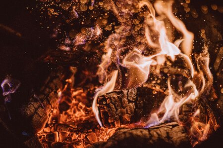 Firewood charcoal ash photo
