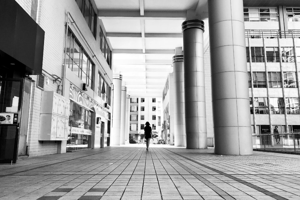 Building the level of Free photos