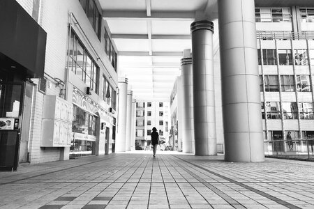 Building the level of Free photos