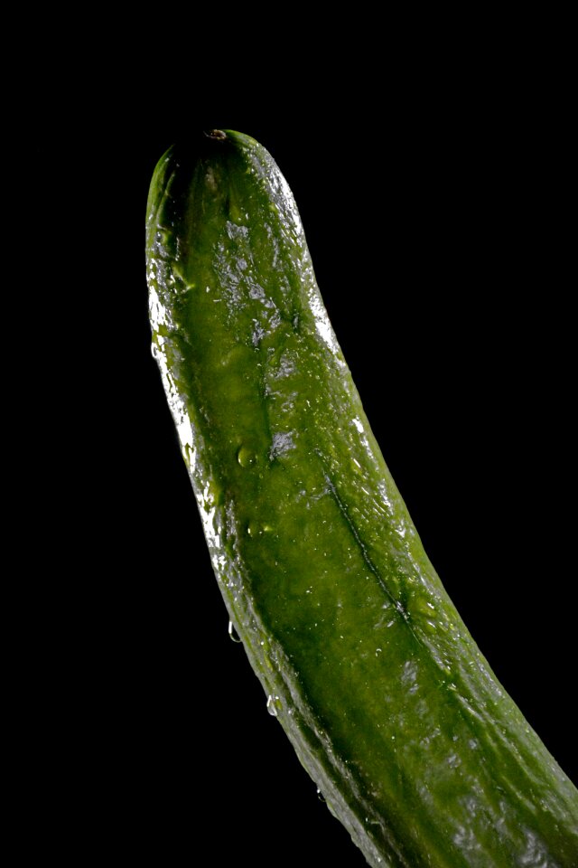 Penis act act of part of