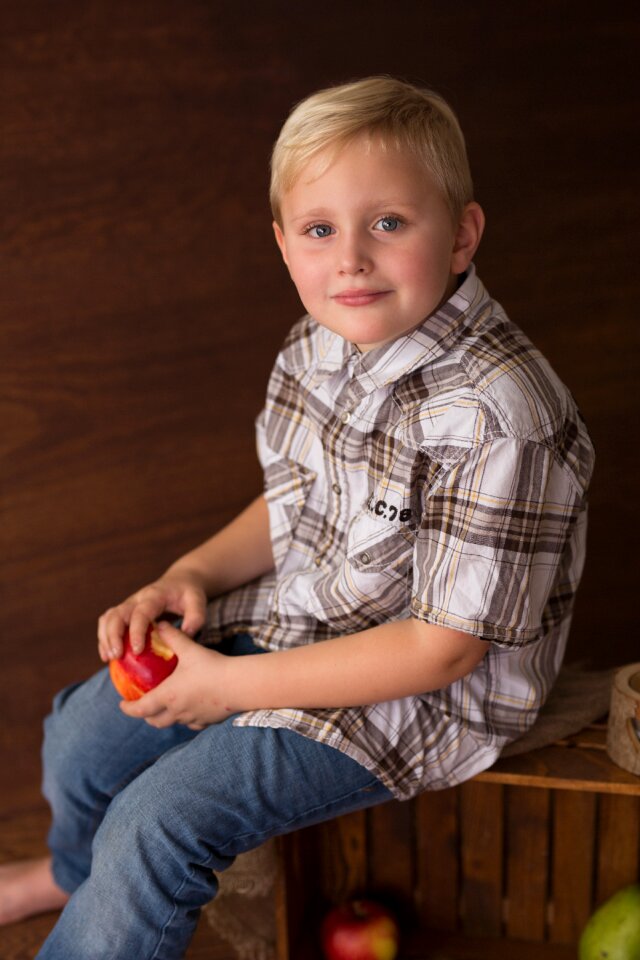 Harvest fruits fruit