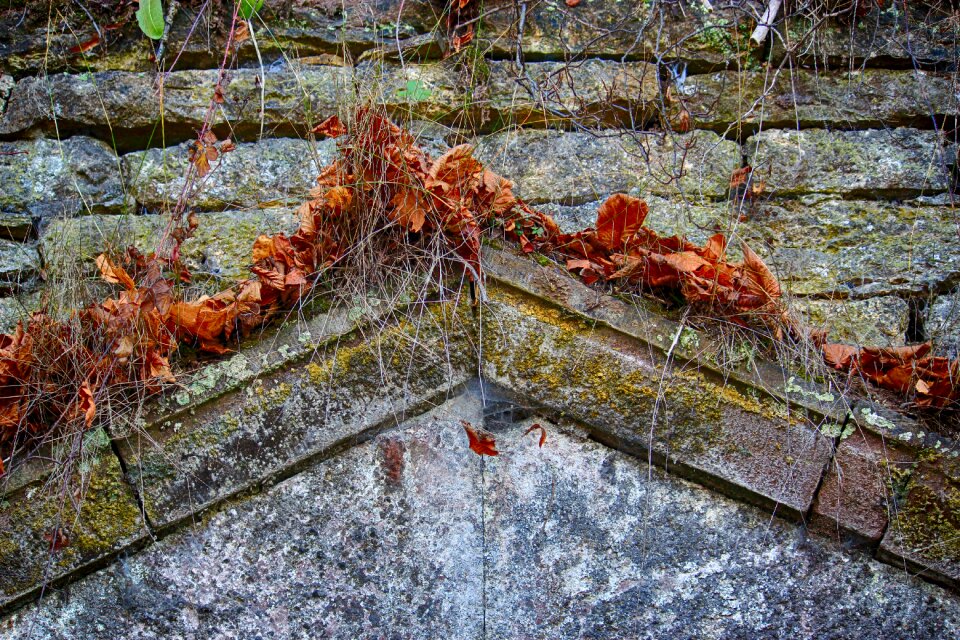 Stone first torspitze leaves