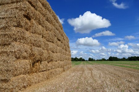 Straw bale food agricultural photo