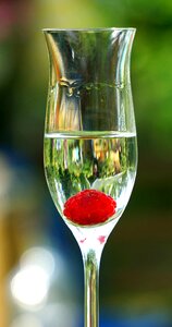 Shot glass glass raspberry