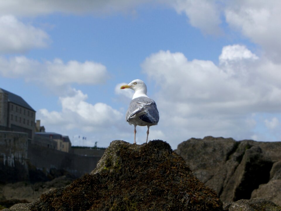Brittany st-malo france
