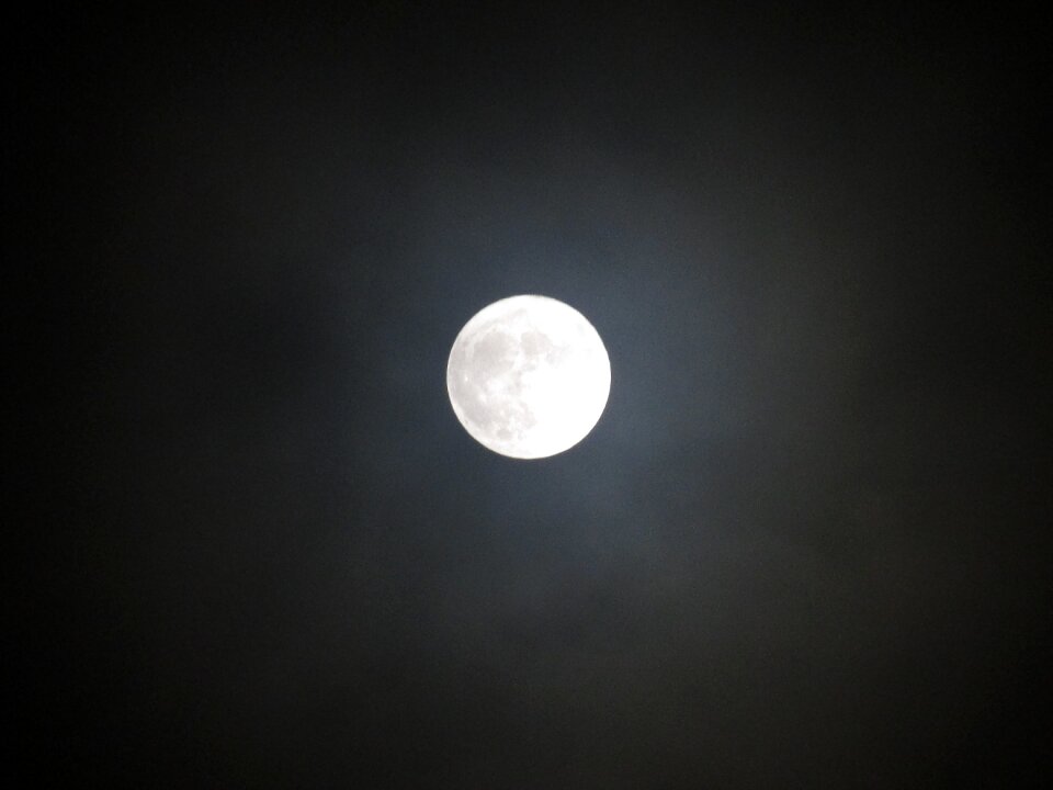 Moon gray moon gray night