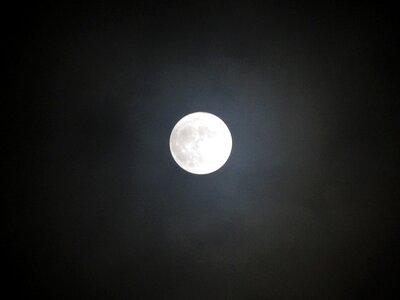 Moon gray moon gray night