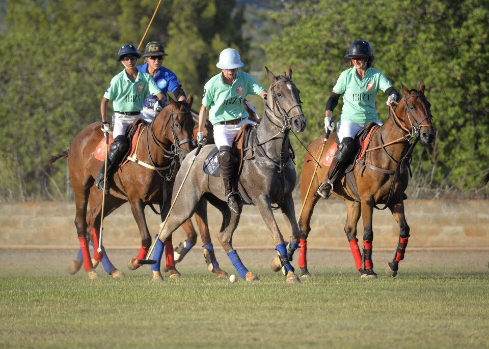 Polo sport gallop horses running photo