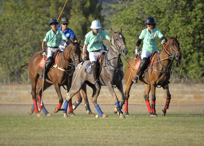 Polo sport gallop horses running