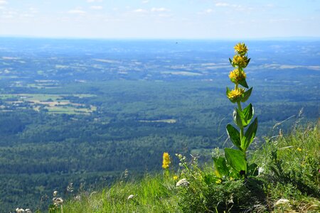 Auvergne view of the puy-de-dome landscape
