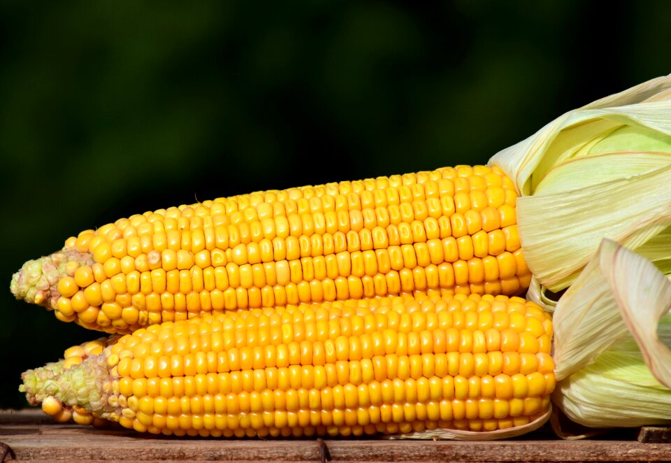 Vegetables cereals autumn