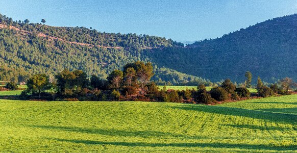 Wood mountain hill