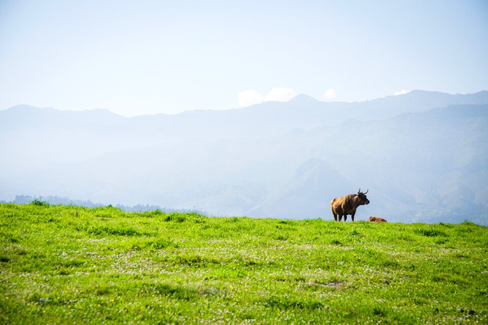 Llanes peak of europe spain photo