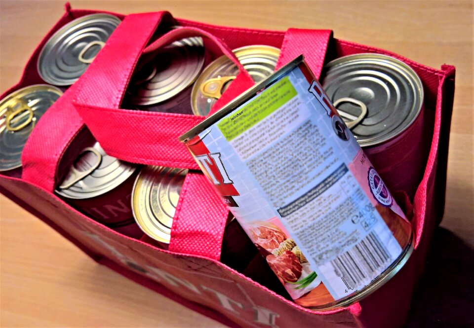 Pet food different types of wet food