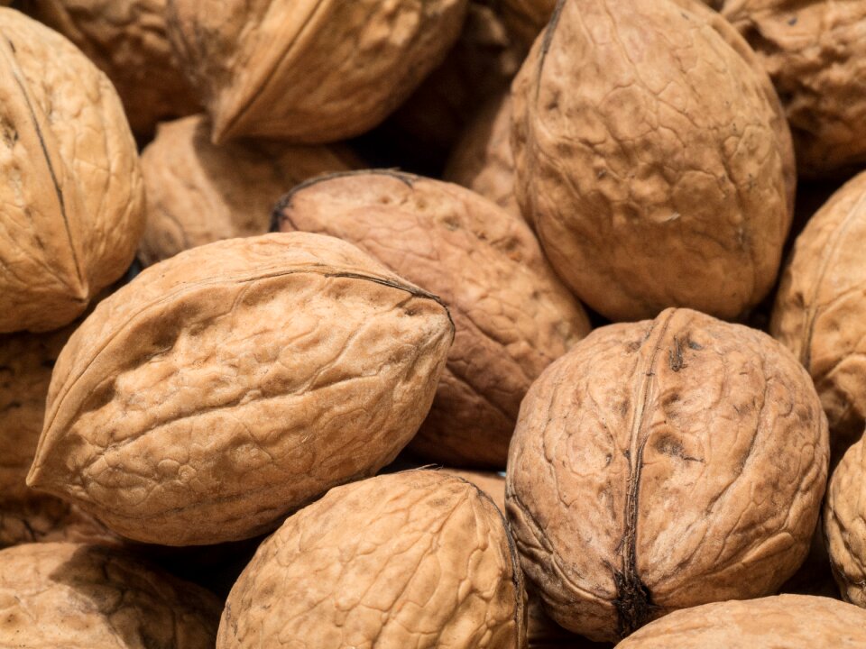 Vegetarian eat nuts