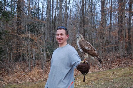 Tree winter hawk