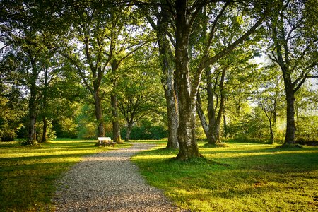 Park path away