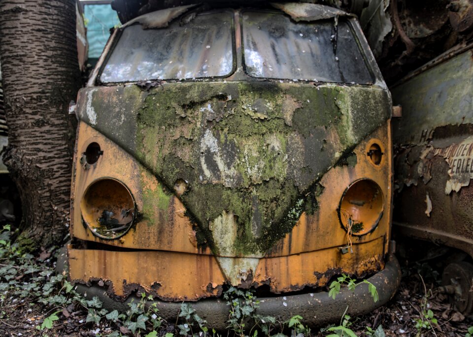 Moss barrel outside