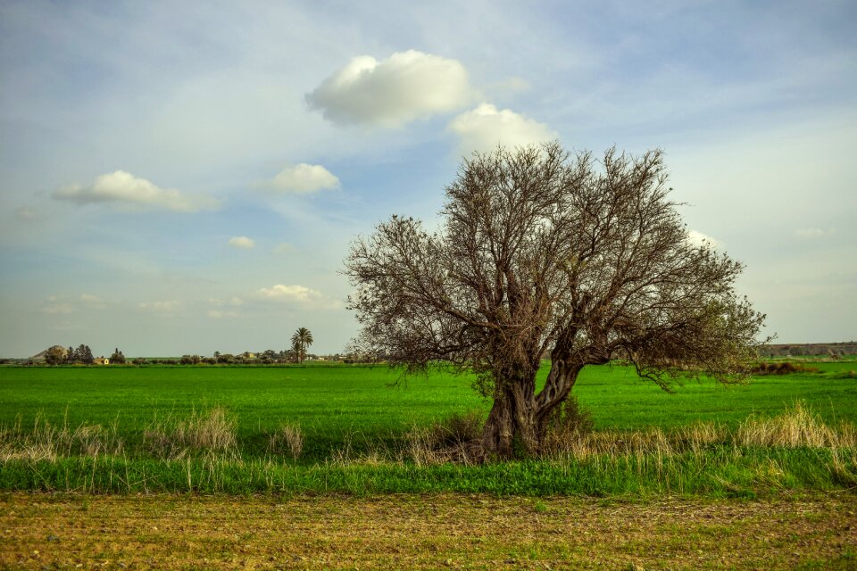 Fields winter scenery