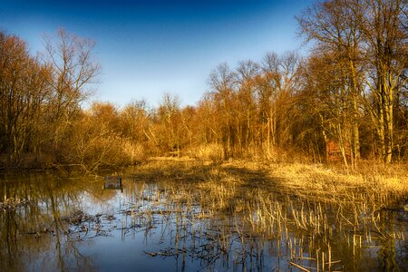 Landscape fall heinz wildlife refuge