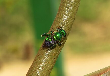 Wild life outdoors colombia