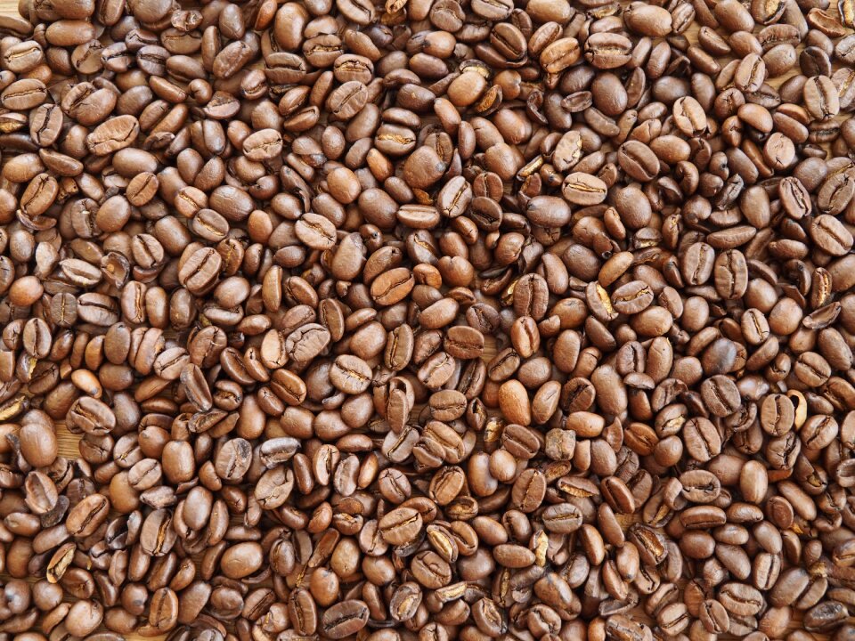 Caffeine beans roasted photo