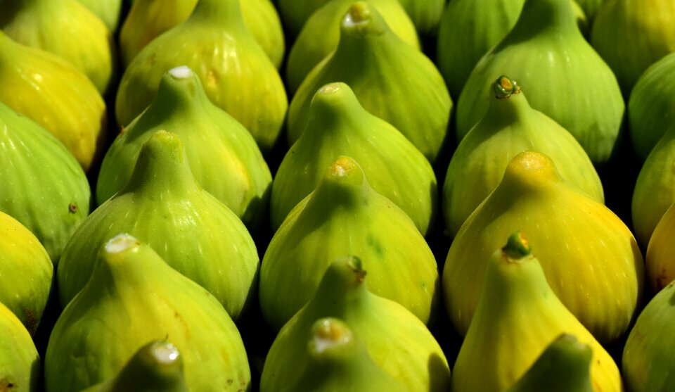 Real coward fruit food