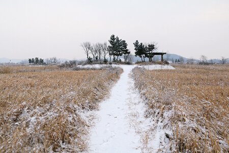 Some people don't outdoors snow