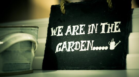 Paper bag we are in the garden