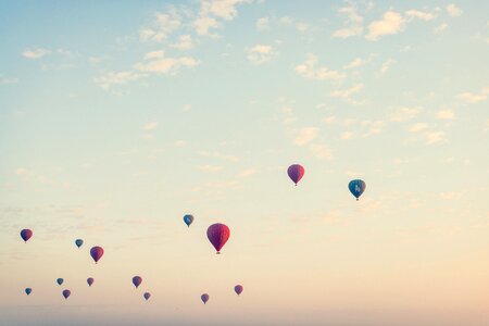 Up basket sun