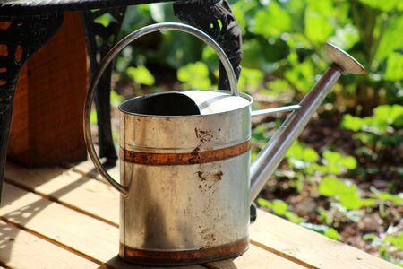 Watering can garden water