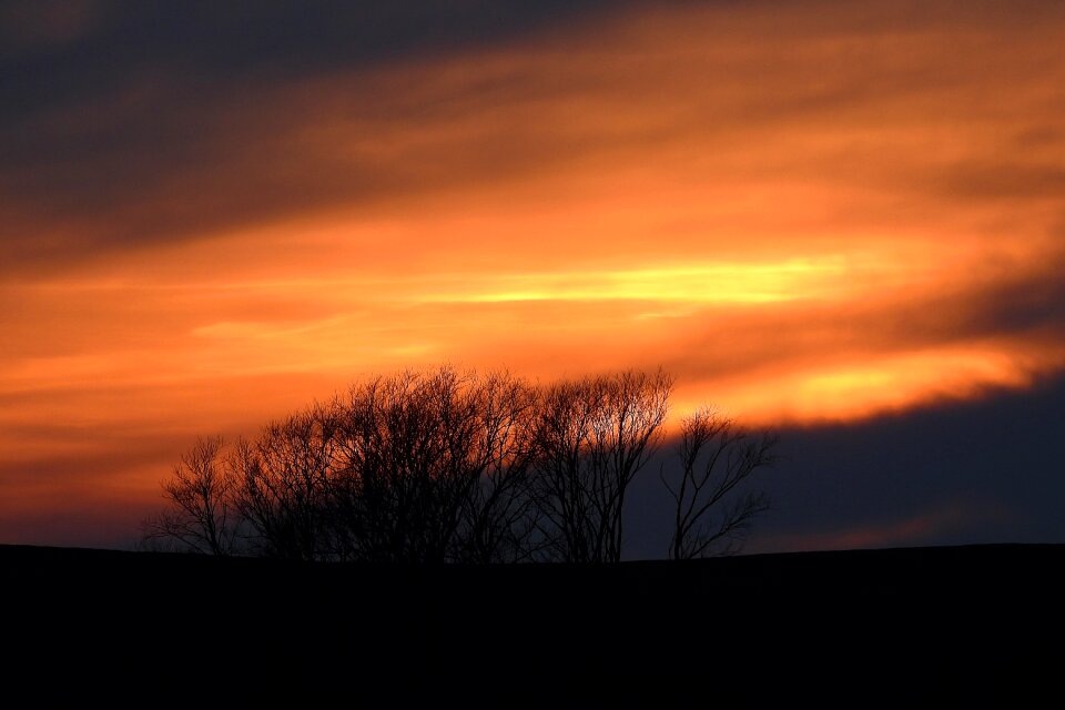 The sun light twilight