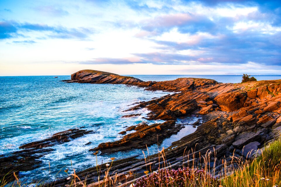 Sea coast nature