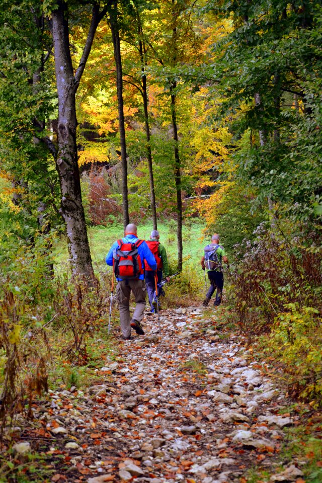 Trail walking with sticks mountain