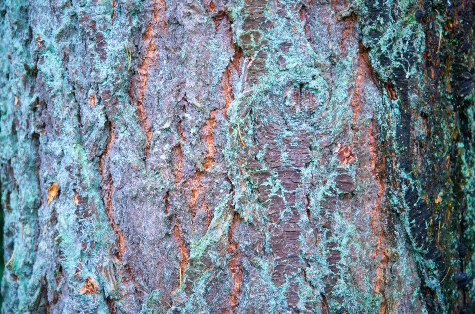 Texture old rough
