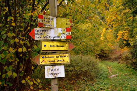 Forest the european path e5