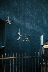 Fence gate blue shoes