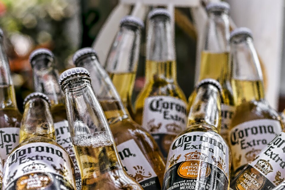 Drink alcoholic beverage beer
