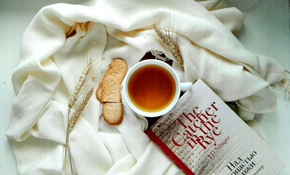 Food book reading