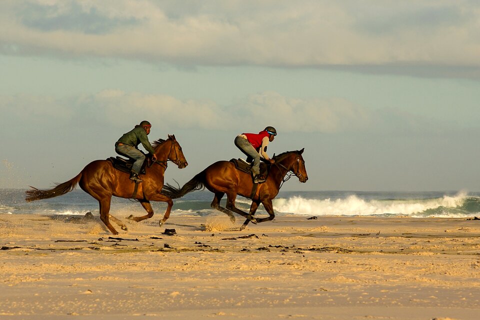 Sand riding horseback