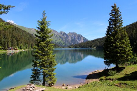 Arnesee bernese oberland forest photo