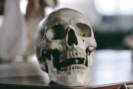Grey teeth wooden